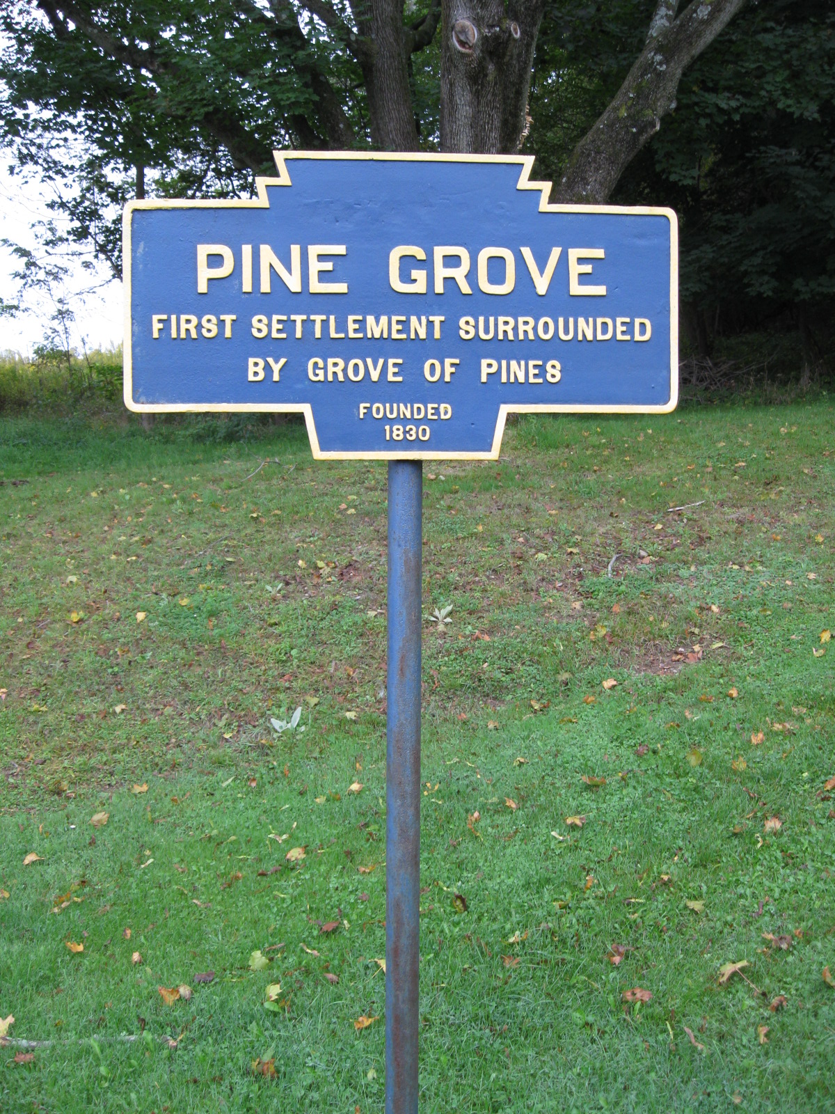 Pine Grove